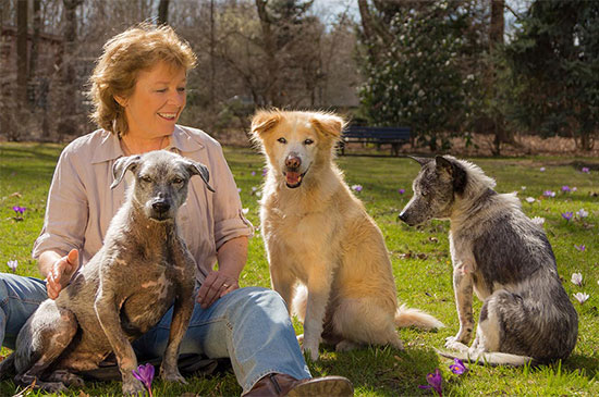 entspannte Begegnung mit Artgenossen