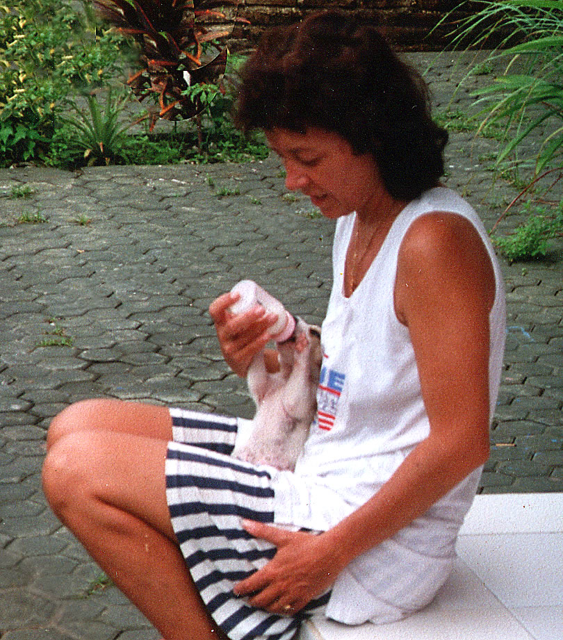 Strassenhund welpe adoptieren