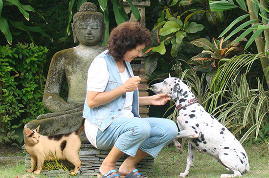 Strassenhunde nach Deutschland mitbringen