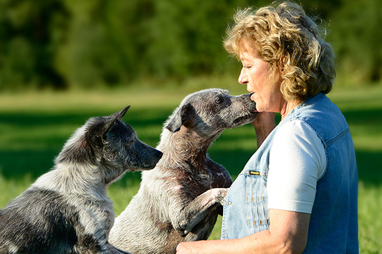 Hunde Problemverhalten