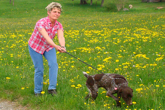 hund leine ziehen