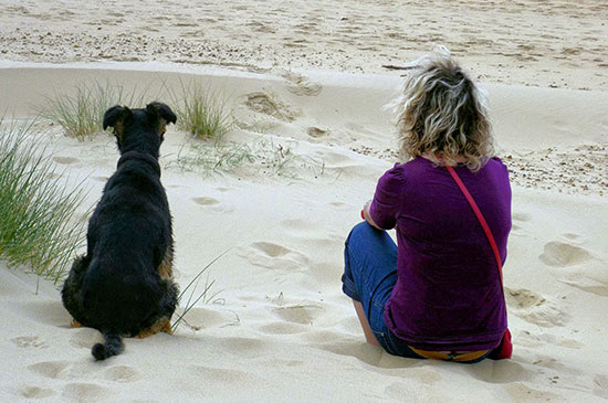 Einen guten Rudelfuehrer erkennen